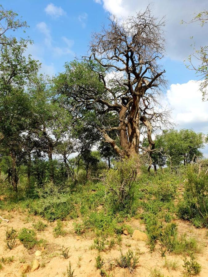 Mabula Game Reserve 636 Itaga Safari Lodge, Mabalingwe Nature Reserve מראה חיצוני תמונה