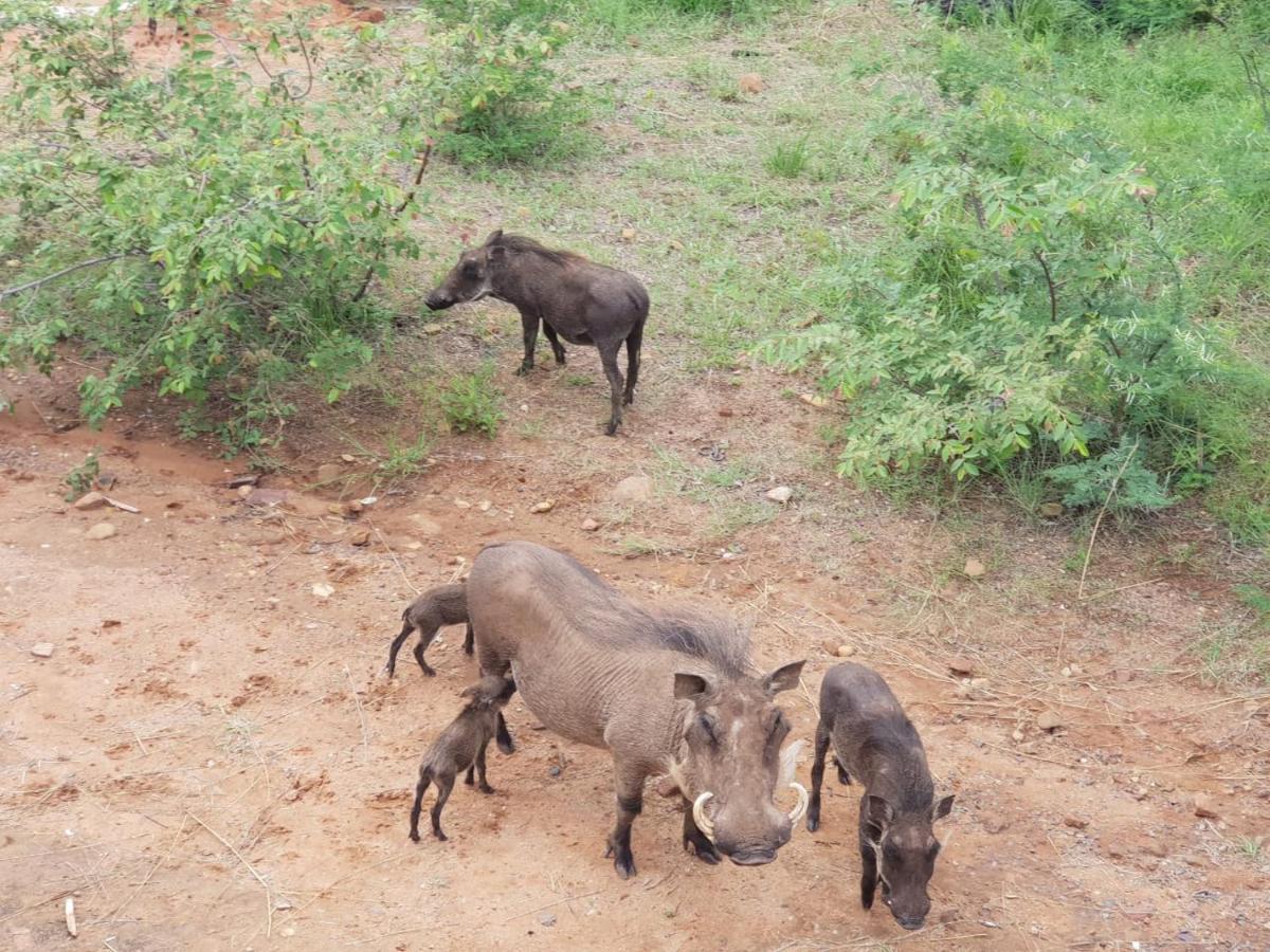 Mabula Game Reserve 636 Itaga Safari Lodge, Mabalingwe Nature Reserve מראה חיצוני תמונה