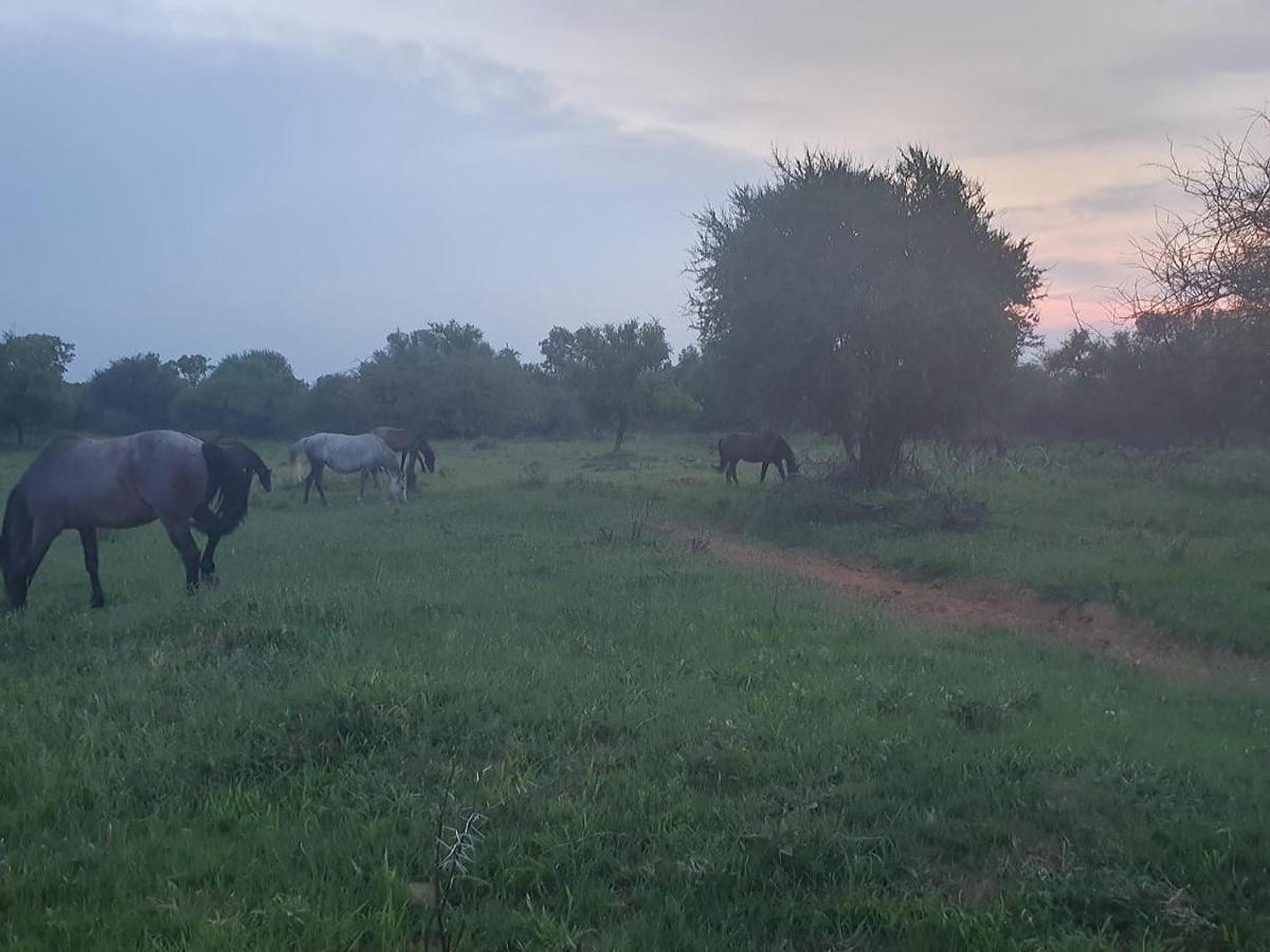 Mabula Game Reserve 636 Itaga Safari Lodge, Mabalingwe Nature Reserve מראה חיצוני תמונה