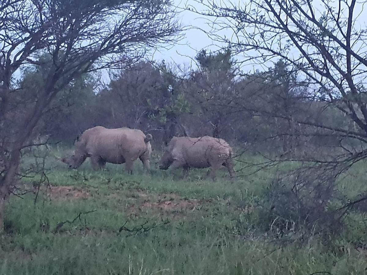 Mabula Game Reserve 636 Itaga Safari Lodge, Mabalingwe Nature Reserve מראה חיצוני תמונה